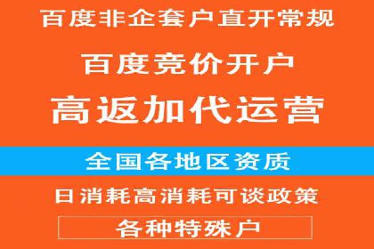 探索百度竞价代理的未来发展趋势与挑战